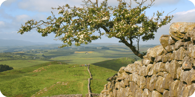 Hadrian's Wall Trekking Challenge