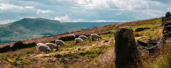 Peak District 25KM Trek 2024