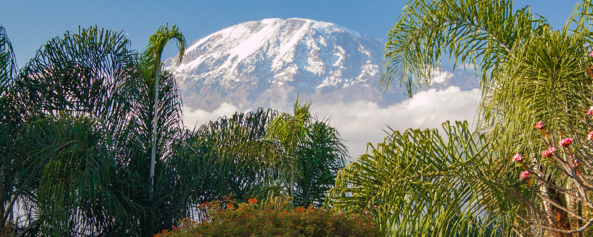 Kilimanjaro Trek 2025