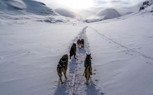 Sled challenge