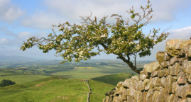 How Long Does It Take to Walk Hadrian’s Wall?