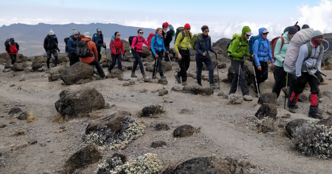 Dan's Kilimanjaro Adventure!