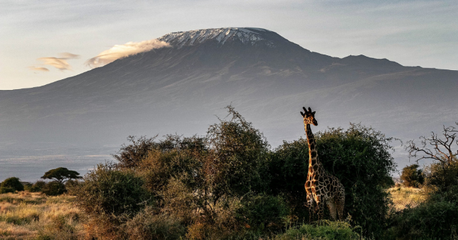 Which is the best route to climb Kilimanjaro?