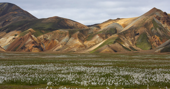 Why Our Iceland Trek Should Be On Your Bucket List!