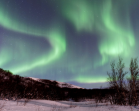 Northern Lights Trek