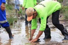 New Climate Care Initiative!