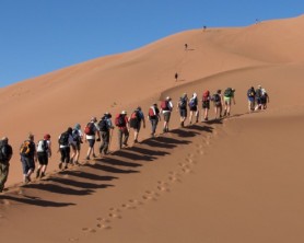 Sahara Trek for St Barnabas and Chestnut Tree House
