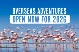 Charity Challenge Events in 2026: Your Guide to Our Overseas Adventures
