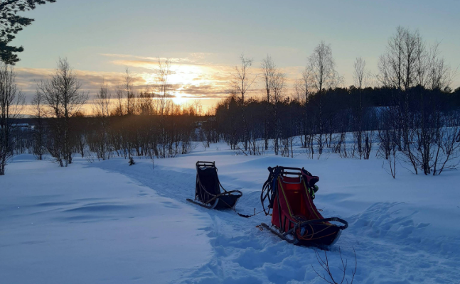 Jacqueline's Lapland Husky Trail Adventure