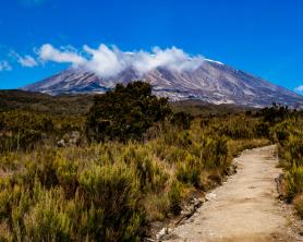 Kilimanjaro Trek for Railway Children
